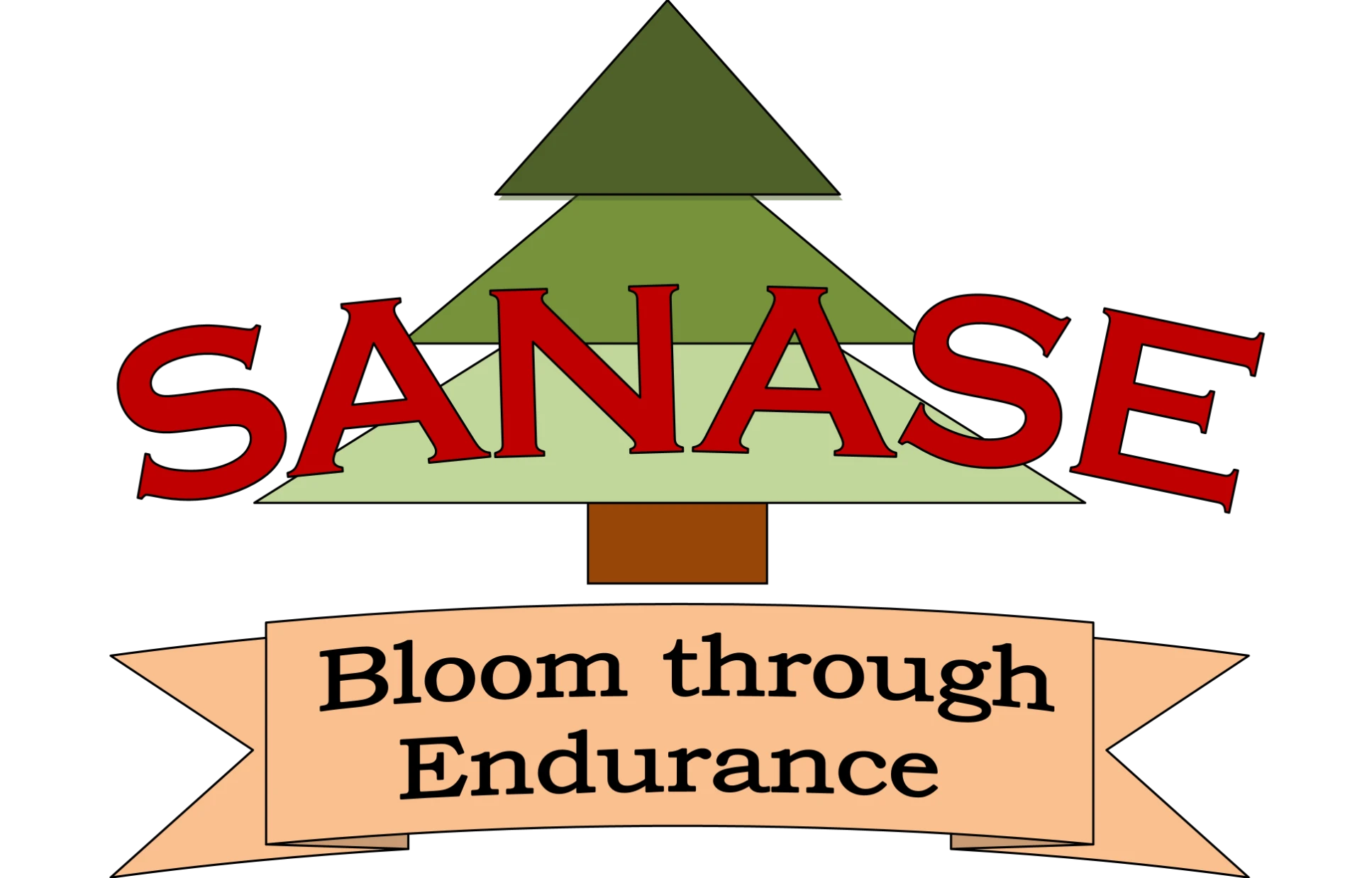 SANASE logo